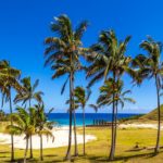 201801 ANAKENA 37 Panorama avec logo Anakena 1