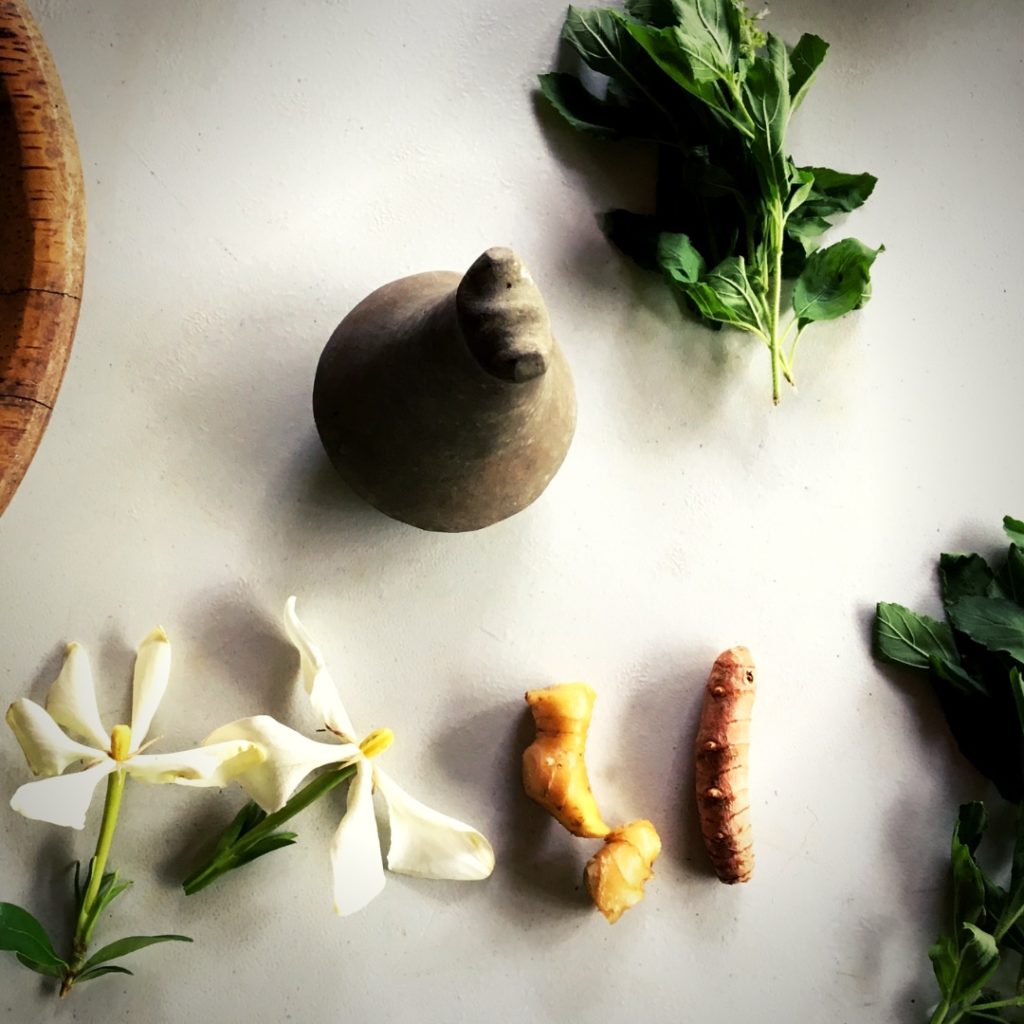 Unsere Rezepturen 1 Zutaten Sam Logo Anakena